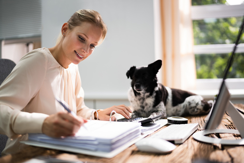 Frau sitzt an Arbeitsplatz und schreibt in Ordner. Hund liegt auf dem Tisch neben ihr