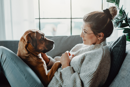 Frau sitzt mit braunem Hund auf Sofa. Tierkommunikation